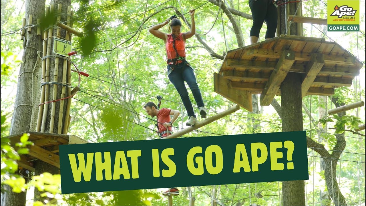 Best Outdoor Activity in Williamsburg VA is Go Ape Treetop Advenutures